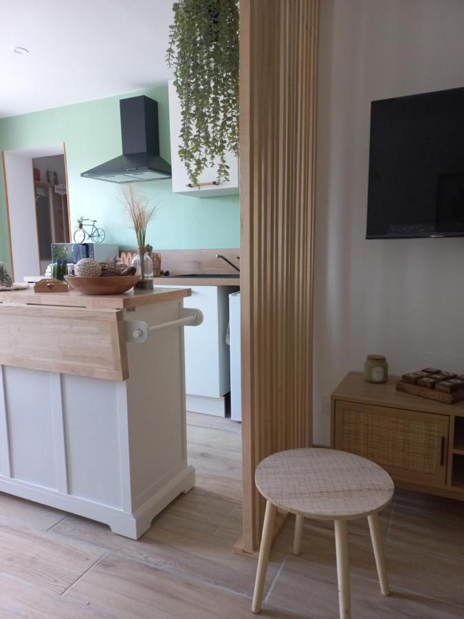 Le Clos Des Lauriers Каркасон Екстериор снимка