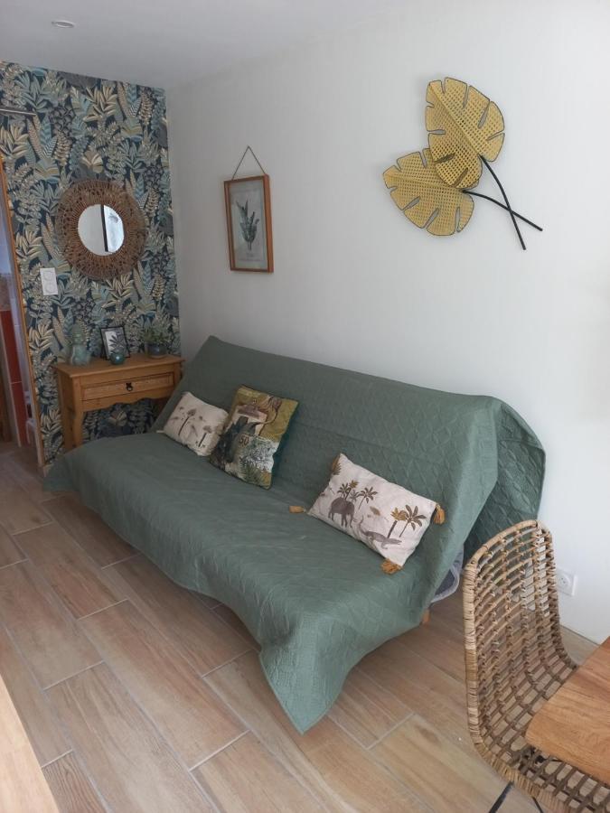 Le Clos Des Lauriers Каркасон Екстериор снимка