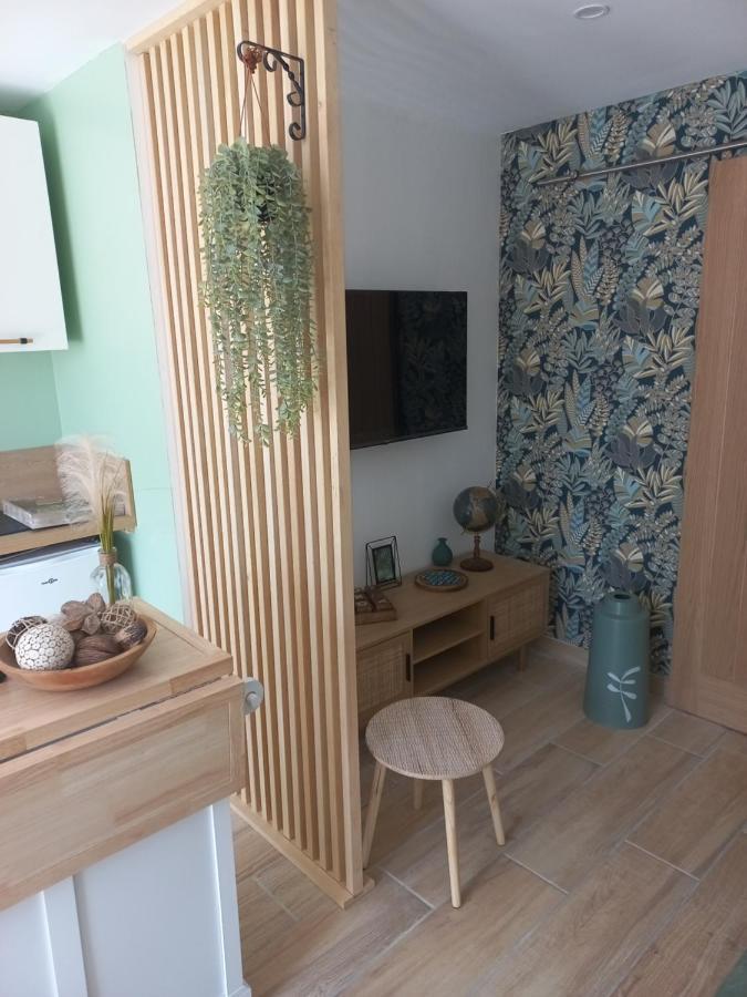 Le Clos Des Lauriers Каркасон Екстериор снимка